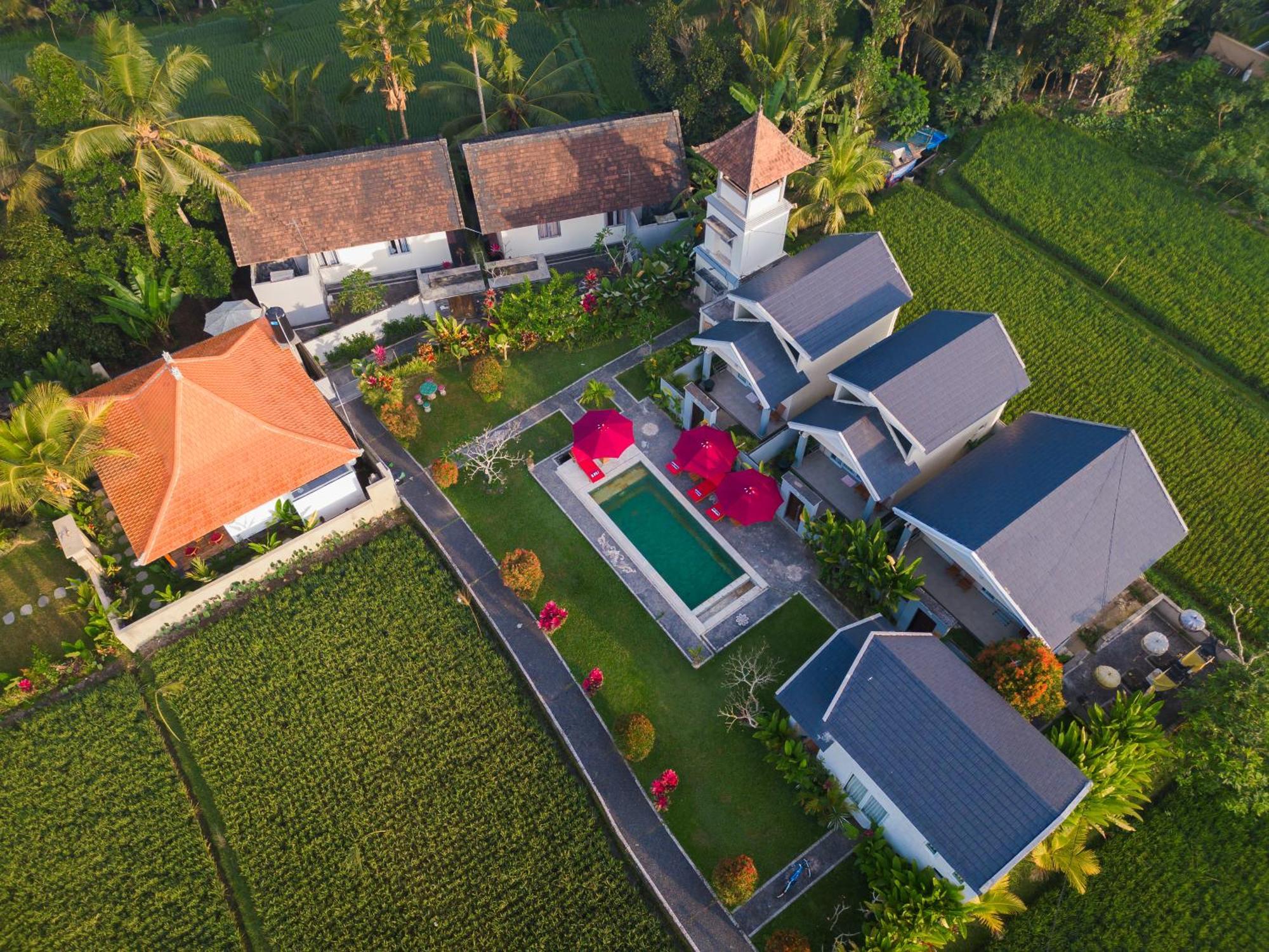 Niniku Ubud Villas Εξωτερικό φωτογραφία
